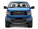 RedRock Grille Insert; Faded Glory (09-14 F-150, Excluding Raptor)