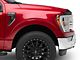 RedRock Hood Protector; Gloss Black (21-25 F-150, Excluding Raptor & Tremor)