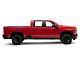 RedRock 4-Inch Oval Straight Side Step Bars; Stainless Steel (20-25 Silverado 2500 HD Crew Cab)