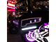 Rigid Industries Radiance Plus LED Pod Lights with RGBW Backlight (Universal; Some Adaptation May Be Required)