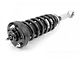 Rough Country M1 Loaded Front Struts for 6-Inch Lift (04-08 4WD F-150)