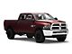 Rough Country Power Running Boards (10-24 6.4L RAM 2500 Crew Cab)