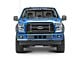 Roush Fender Flares (15-17 F-150, Excluding Raptor)