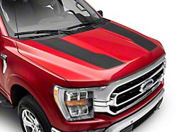 SEC10 Hood Stripes; Carbon Fiber (21-25 F-150, Excluding Raptor)