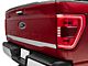 SEC10 Lower Tailgate Accent Decal; Silver (21-24 F-150)