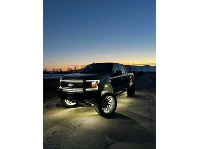 Sick Diesel Grille Accent LED Lights; Black Frame (18-20 F-150 King Ranch, Lariat, XL, XLT)