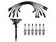 8-Piece Ignition Kit (00-06 4.3L Sierra 1500)