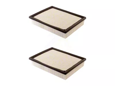 Air Filter; 2-Pack (99-18 Sierra 1500)