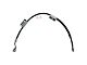 Front Brake Hose; Driver Side (99-02 2WD Sierra 1500)