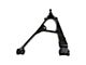 Front Lower Control Arms with Ball Joints (99-06 4WD Sierra 1500)