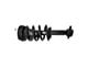 Front Strut and Spring Assemblies (07-13 Sierra 1500)