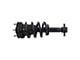 Front Strut and Spring Assemblies (14-18 4WD Sierra 1500)