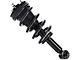 Front Strut and Spring Assembly (14-18 4WD Sierra 1500, Excluding Denali)