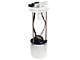 Fuel Pump Module (10-13 4.8L, 5.3L Sierra 1500 Regular Cab w/ 6.50-Foot Standard Box)