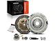 Organic Clutch Kit; 10-Spline (99-00 4.8L Sierra 1500)