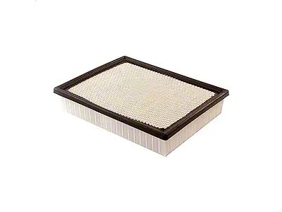 Air Filter (07-19 6.0L Sierra 2500 HD)