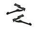 Front Lower Control Arms with Ball Joints (07-10 Sierra 2500 HD)