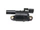 Ignition Coil; Round Style (2020 Sierra 2500 HD)