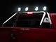 Atlas Roll Bar with 7-Inch Black Round LED Lights; Stainless Steel (01-25 Silverado 1500)