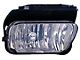 Replacement Fog Light; Passenger Side (03-04 Silverado 1500)