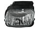 Fog Light; Passenger Side (03-04 Silverado 1500)