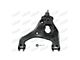 Front Lower Control Arm and Ball Joint Assembly; Driver Side (99-06 2WD Silverado 1500)