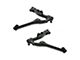 Front Lower Control Arms with Ball Joints (2004 Silverado 1500 Crew Cab)