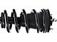 Front Strut and Spring Assembly (14-18 4WD Silverado 1500)