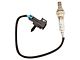 O2 Oxygen Sensor; Downstream (99-02 4.3L, 4.8L, 5.3L Silverado 1500)