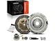 Organic Clutch Kit; 10-Spline (99-00 4.8L Silverado 1500)