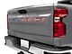 Tailgate Insert Letters; American Flag Edition (19-23 Silverado 1500)