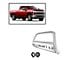 Bull Bar with 5.30-Inch Black Round Flood LED Lights; Stainless Steel (20-24 Silverado 2500 HD)