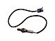 O2 Oxygen Sensor Set; Downstream (08-10 6.0L Silverado 3500 HD Cab & Chassis)