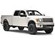 T-REX Grilles Billet Series 1-Piece Upper Grille Insert; Polished (09-14 F-150 STX, XL, XLT, FX2, FX4; 13-14 F-150 King Ranch, Lariat, Limited)