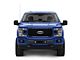 T-REX Grilles Stealth Laser Torch Series Lower Bumper Grille Insert with 3-Inch LED Cube Lights; Black (18-20 2.7L/3.5L EcoBoost F-150, Excluding Raptor)