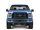 T-REX Grilles Torch Series Lower Bumper Grille Insert with Two 3-Inch LED Cube Lights; Black (15-17 2.7L/3.5L EcoBoost F-150, Excluding Raptor)