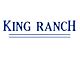 Tailgate Insert Letters; Lightning Blue (17-19 F-350 Super Duty King Ranch)