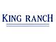 Tailgate Insert Letters; Lightning Blue (17-19 F-250 Super Duty King Ranch)