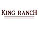 Tailgate Insert Letters; Ruby Red (17-19 F-250 Super Duty King Ranch)