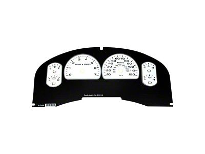 US Speedo Daytona Edition Gauge Face; MPH; White (04-06 F-150 XLT)