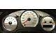 US Speedo Stainless Edition Gauge Face; MPH (04-06 F-150 Lariat)