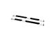 Westin R5 Nerf Side Step Bars; Stainless Steel (17-24 F-250 Super Duty SuperCrew)