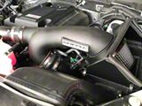 Whipple Cold Air Intake (15-20 3.5L EcoBoost F-150)