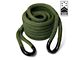 Yankum Ropes 7/8-Inch x 30-Foot Kinetic Rope; OD Green