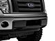 Replacement Front Bumper Pad Set (09-14 F-150, Excluding Raptor)