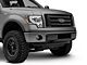 Replacement Front Bumper Pad Set (09-14 F-150, Excluding Raptor)